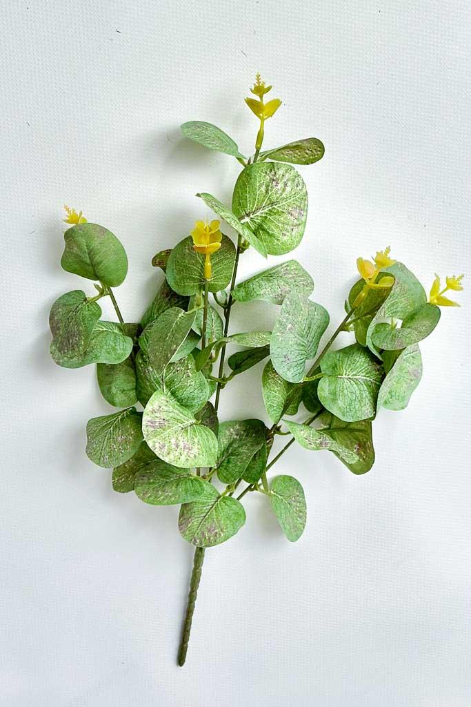 Загружен программно: 177143171896901.jpg