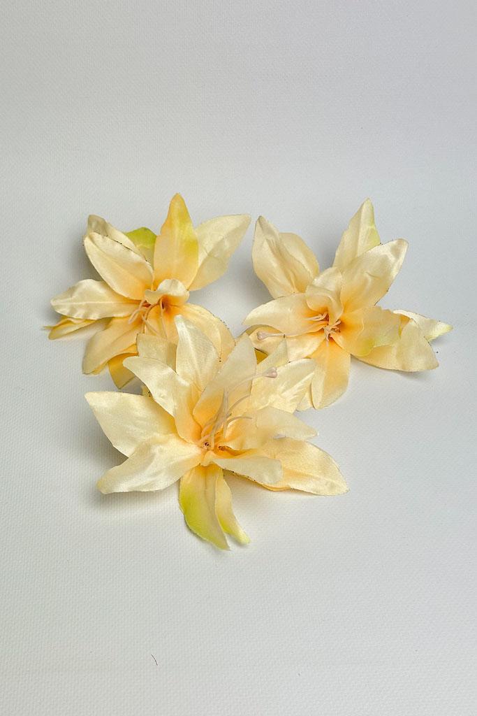 Загружен программно: 177247917591588.jpg