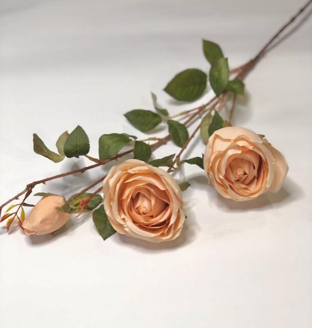 Загружен программно: 20c2aa7e-be05-4685-91da-cc565d1148f4.jpeg