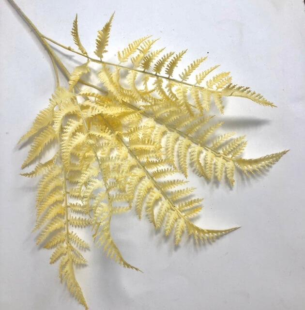 Загружен программно: 22ba952b-8dca-47e4-96b2-e77a9860436e.jpeg