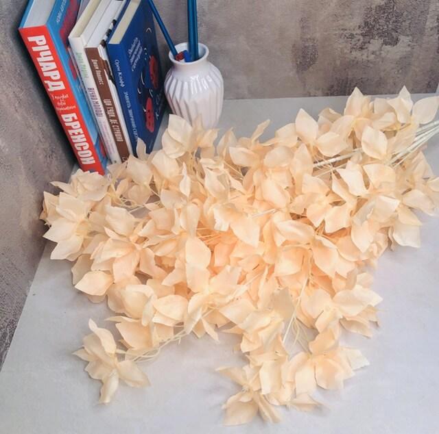 Загружен программно: 3fa87a58-c843-4c91-aad9-cd012336f1d9.jpeg