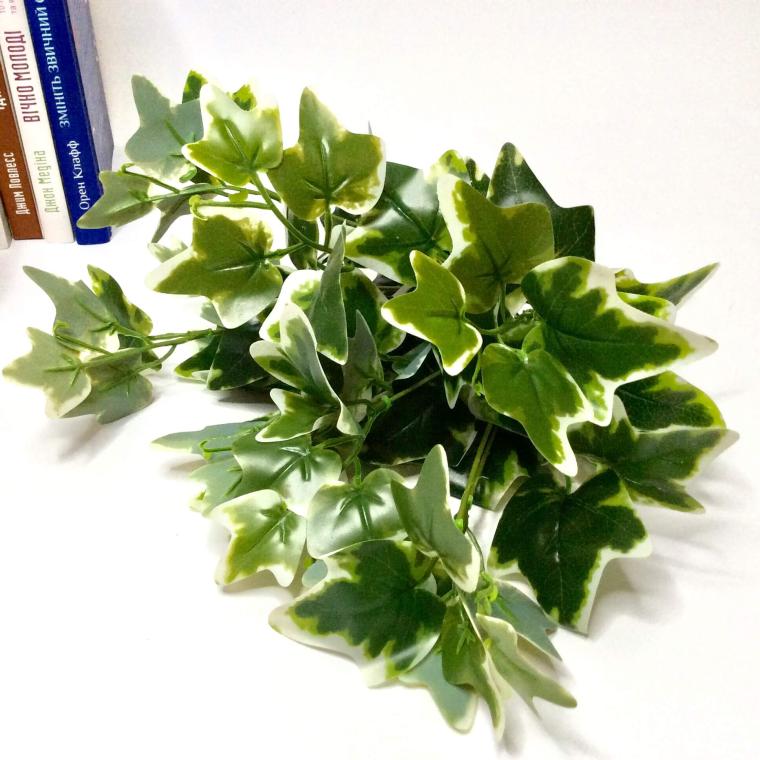 Загружен программно: 5167af5a-5bdc-4884-9fcd-0494148e514a.jpeg