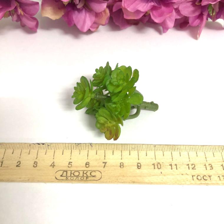 Загружен программно: 80390cf5-16bb-4918-90cc-befda8c091e1.jpeg