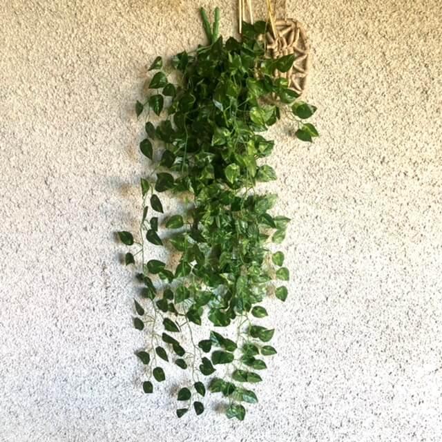 Загружен программно: 9f1d4bae-a96f-4dd7-9b88-2254b47a0a37.jpeg