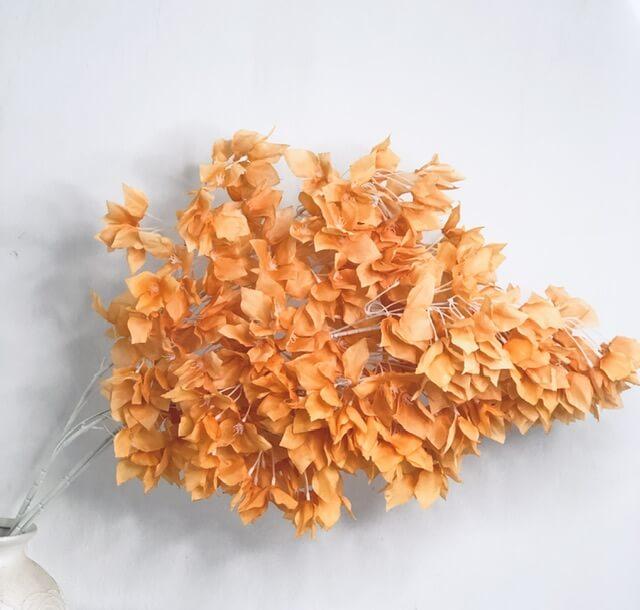 Загружен программно: 9fb40192-b685-4648-aa74-0a8fa9668608.jpeg