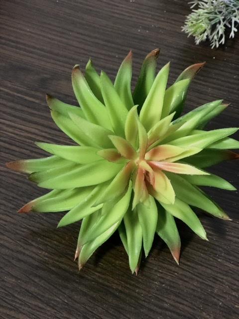 Загружен программно: aa6b1da7-d5d5-4e4b-8bfa-59475b793715.jpeg