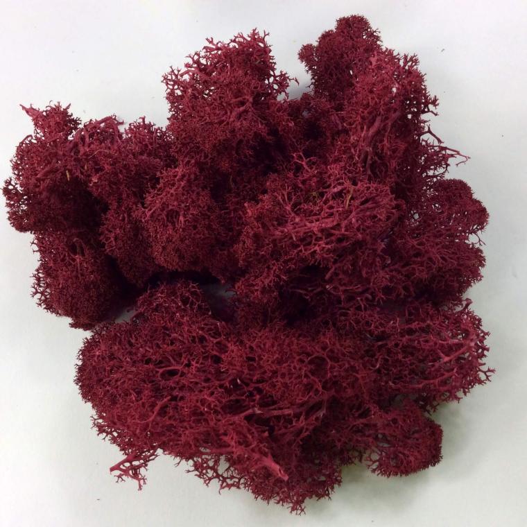 Загружен программно: d20a8f42-59d0-4d2f-b7be-34f5ca2b38d2.jpeg