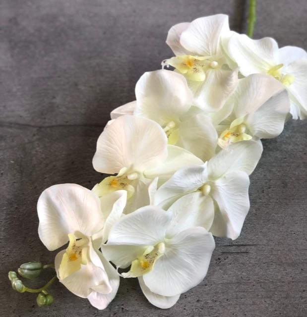 Загружен программно: d8db0674-88a4-4b4d-af8d-ccfdd29024e8.jpeg