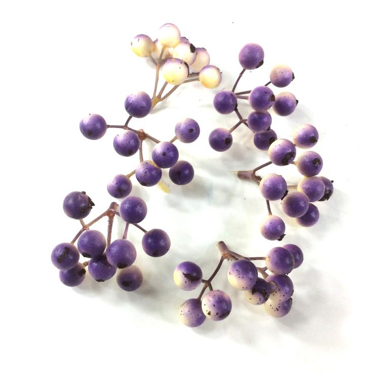 Загружен программно: e94b1459-4f04-4517-a17c-6b16ef6f1d15.jpeg