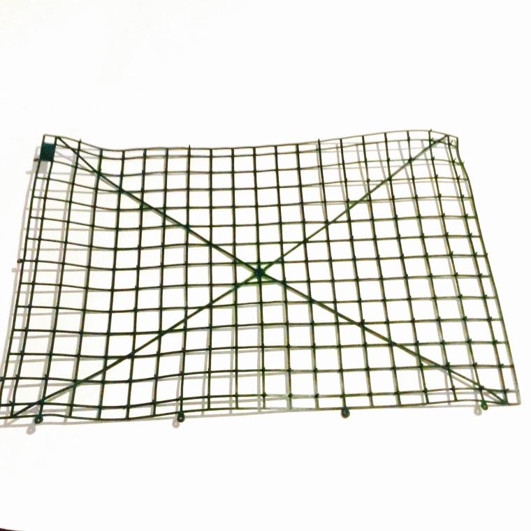 Загружен программно: image_1077.jpg