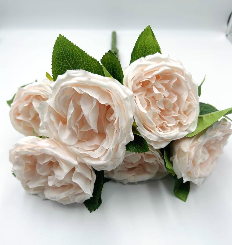 Загружен программно: img_0214.jpg