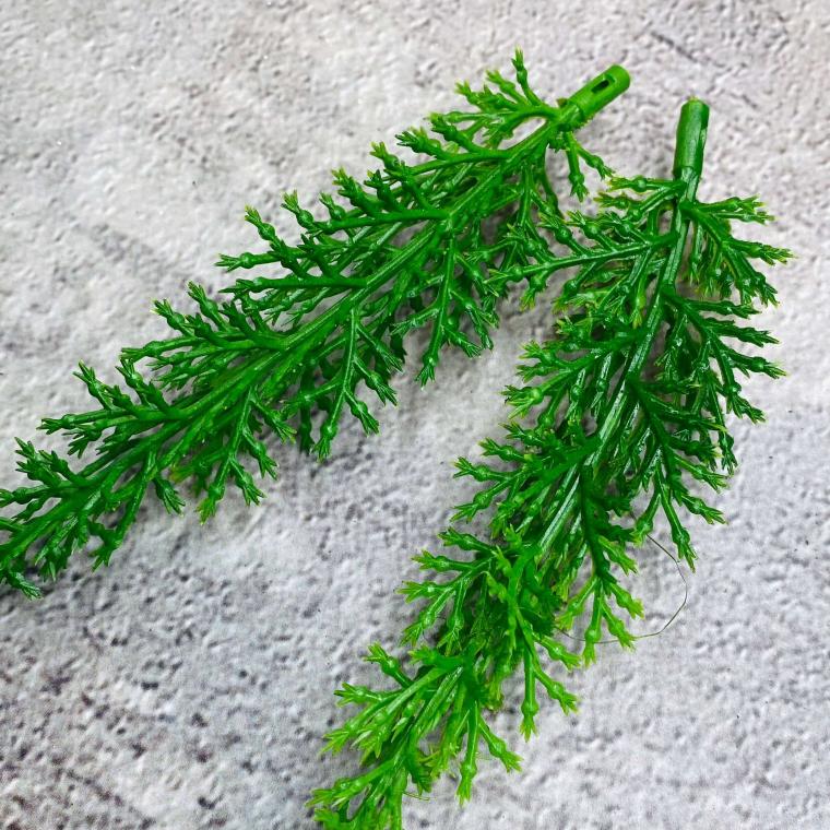 Загружен программно: img_0262_0.jpg