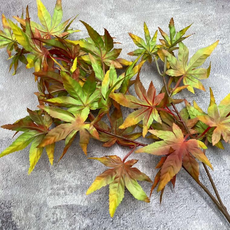 Загружен программно: img_0272_0.jpg