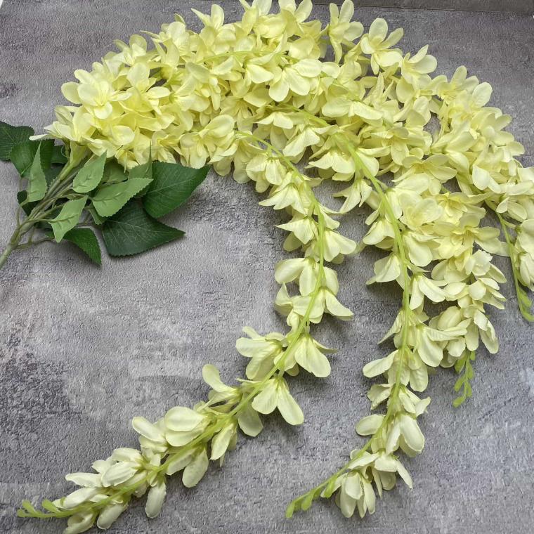 Загружен программно: img_0282_0.jpg