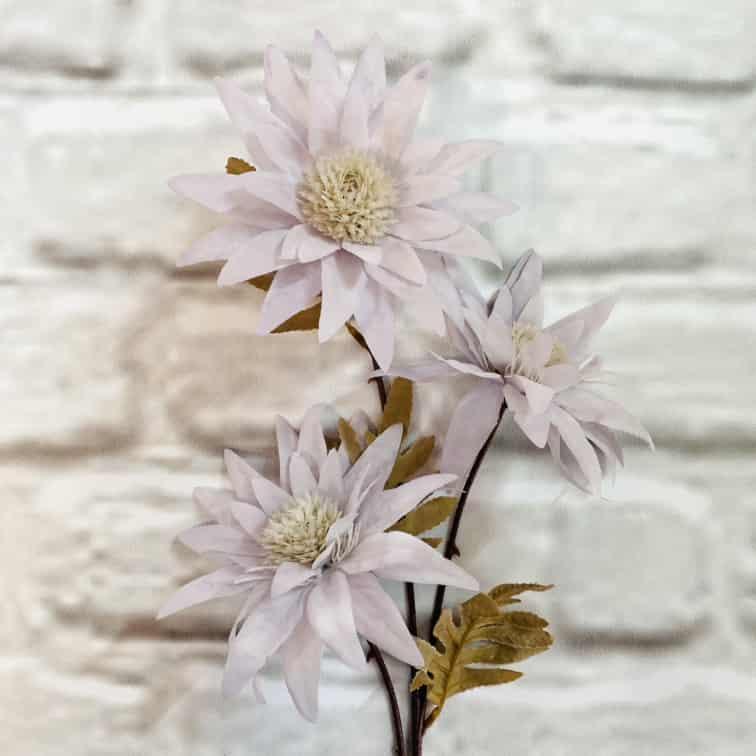 Загружен программно: img_0286_0.jpg