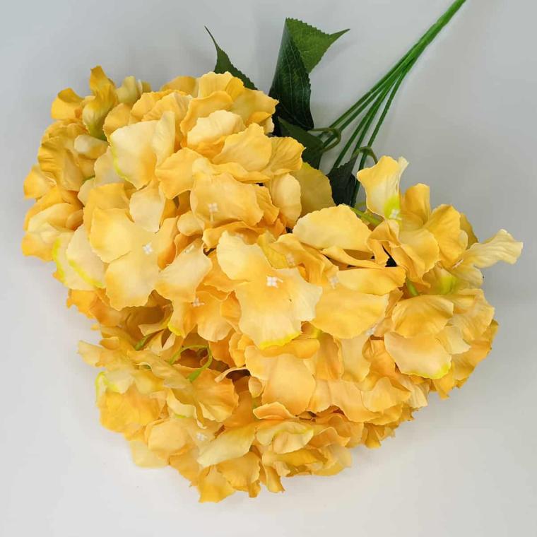 Загружен программно: img_1021.jpg