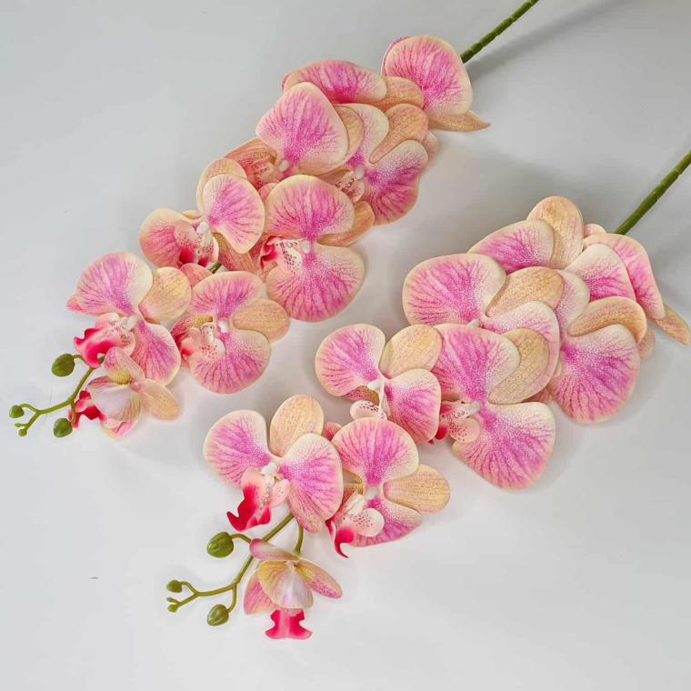 Загружен программно: img_1062.jpg