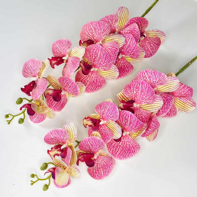 Загружен программно: img_1066.jpg