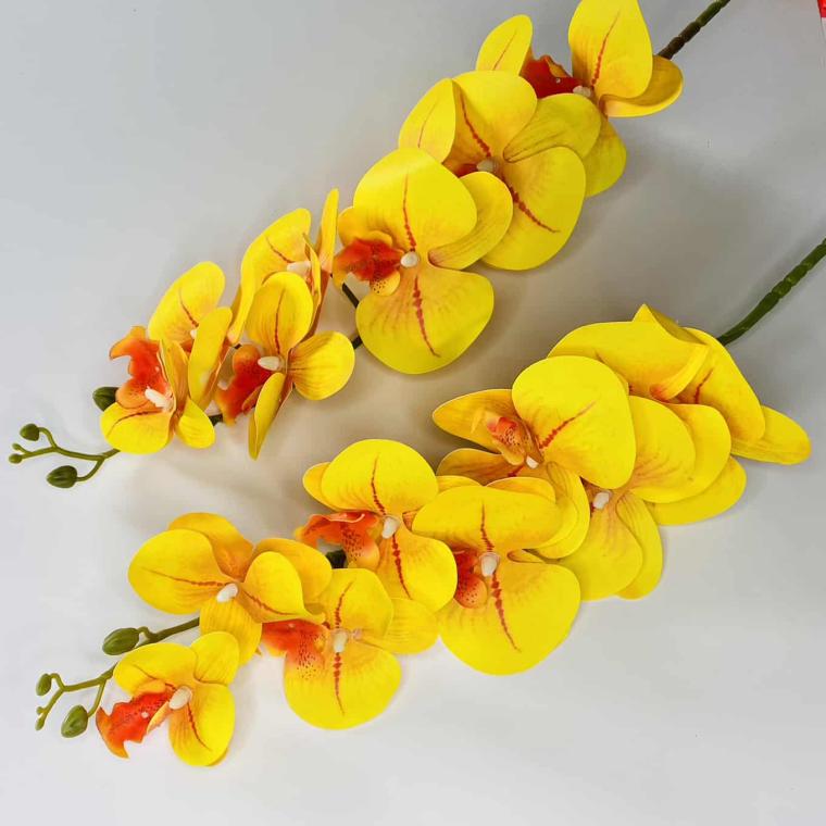 Загружен программно: img_1068.jpg