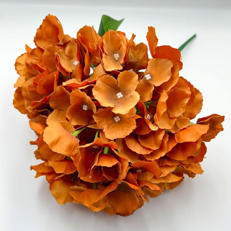 Загружен программно: img_1116.jpg