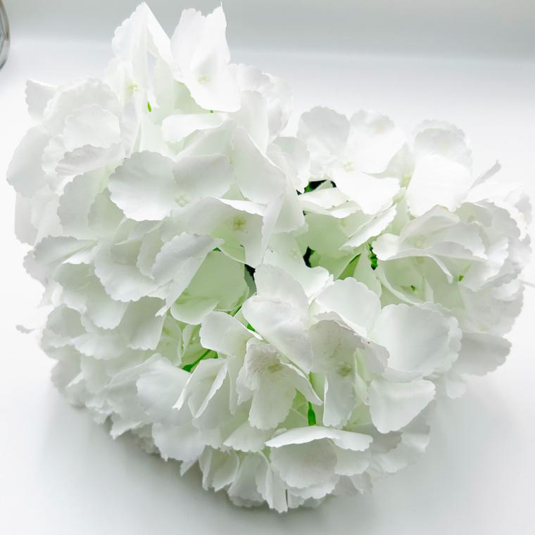 Загружен программно: img_1118.jpg