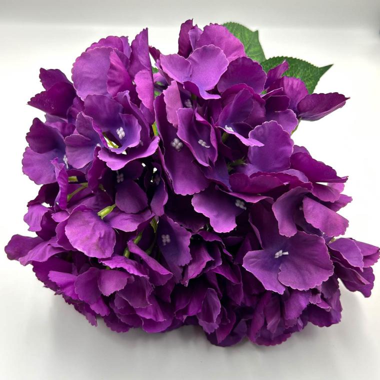 Загружен программно: img_1119.jpg