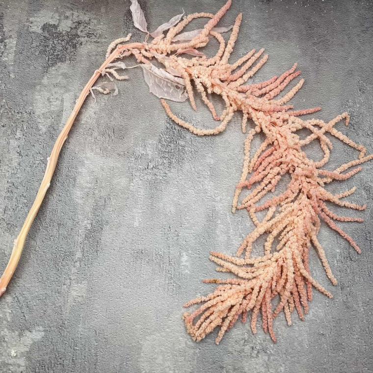 Загружен программно: img_1125.jpg