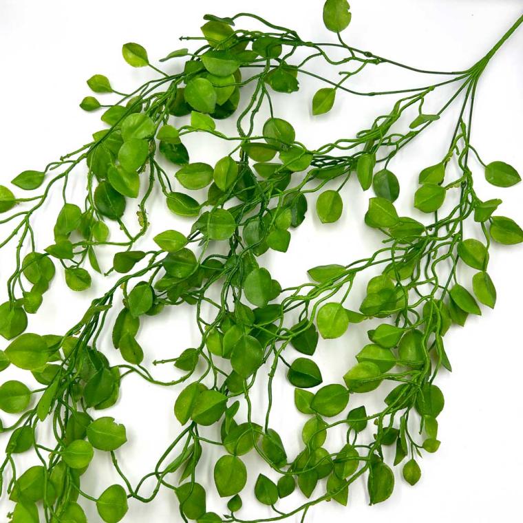 Загружен программно: img_1151.jpg