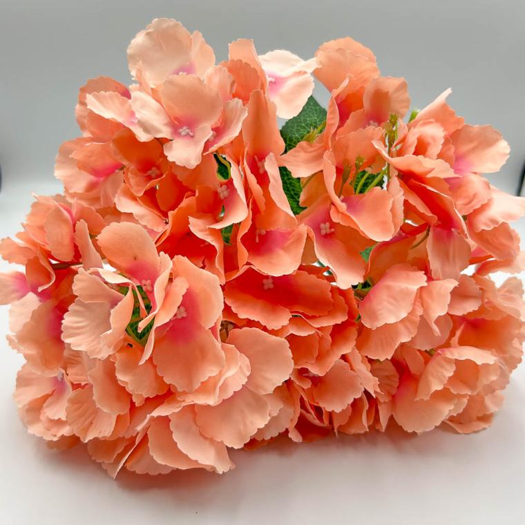 Загружен программно: img_1169.jpg