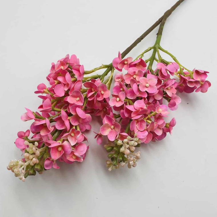 Загружен программно: img_1215.jpg