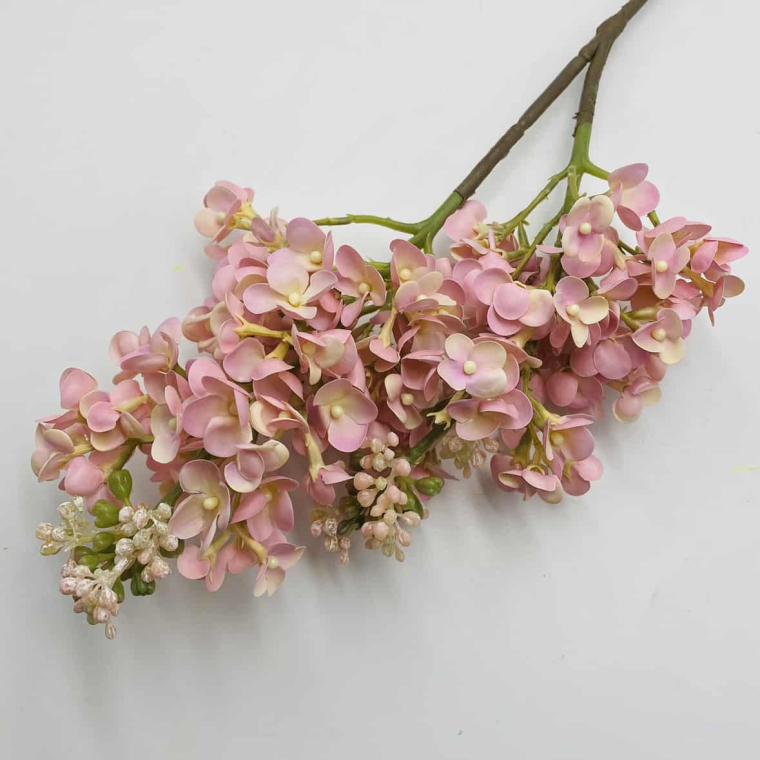 Загружен программно: img_1217.jpg