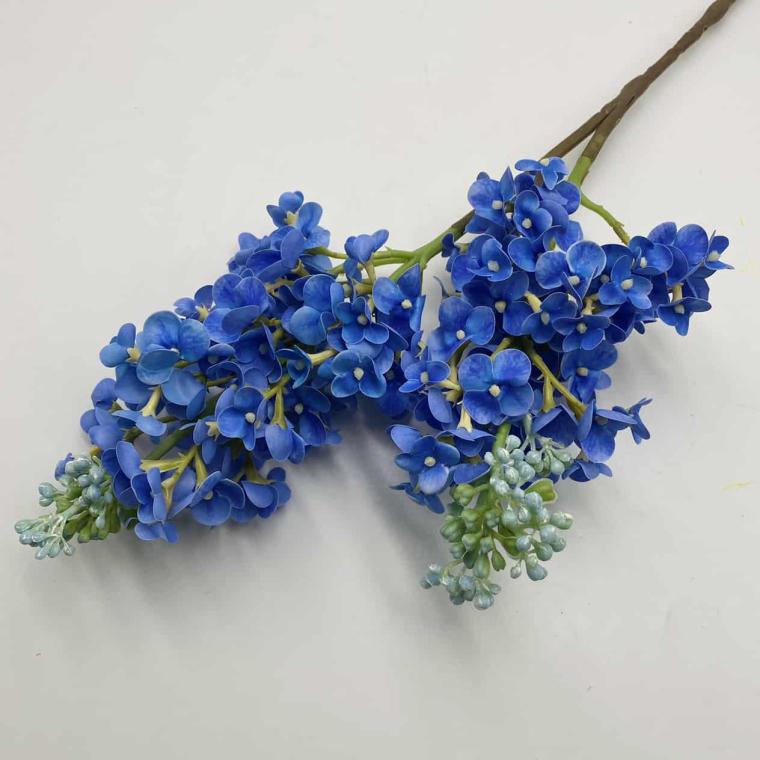 Загружен программно: img_1219.jpg