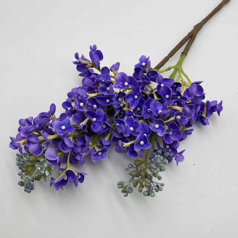 Загружен программно: img_1220.jpg