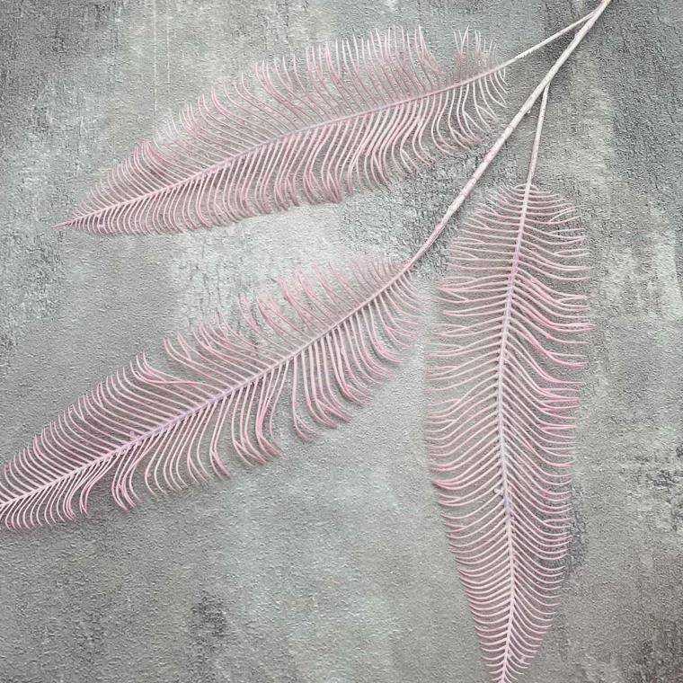 Загружен программно: img_1242.jpg