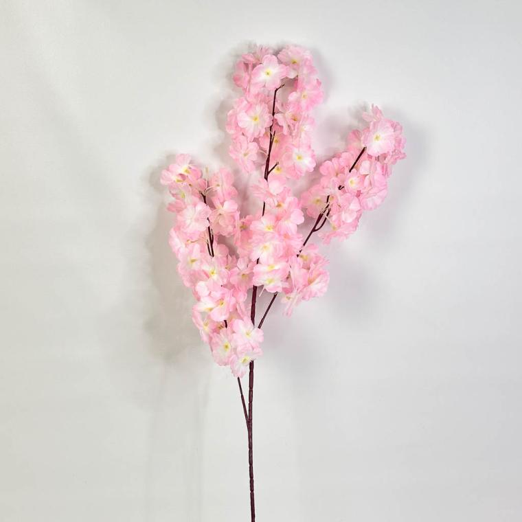 Загружен программно: img_1253.jpg