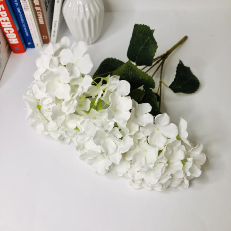 Загружен программно: img_1321.jpg