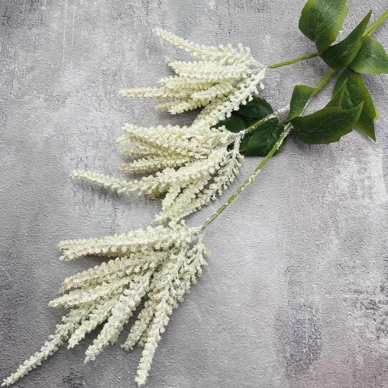 Загружен программно: img_1416.jpg