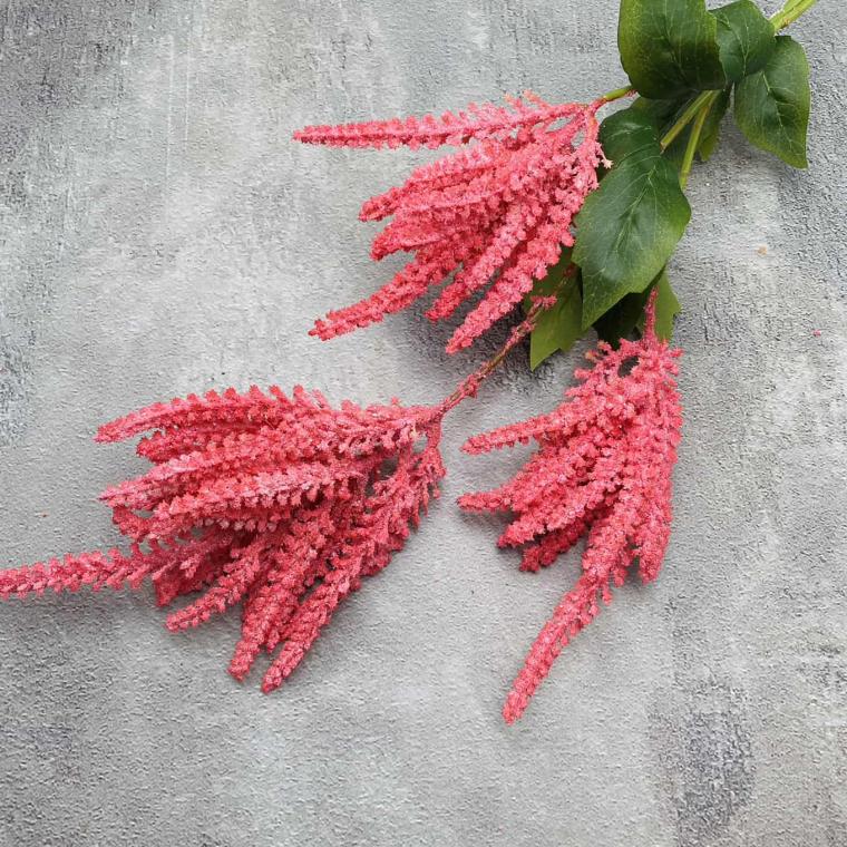 Загружен программно: img_1420.jpg