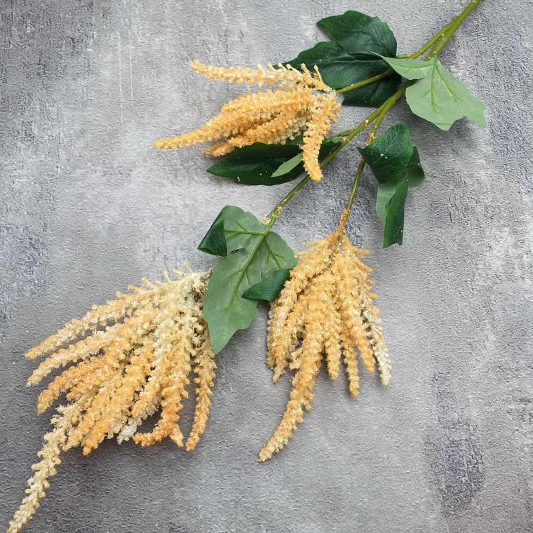 Загружен программно: img_1424_0.jpg