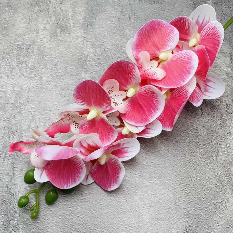 Загружен программно: img_1432.jpg