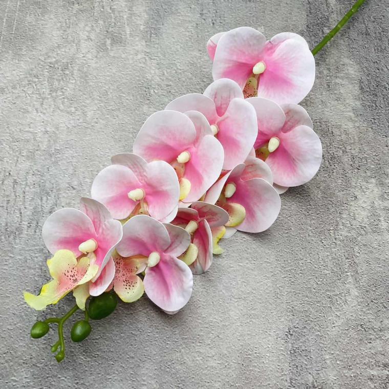 Загружен программно: img_1436_0.jpg