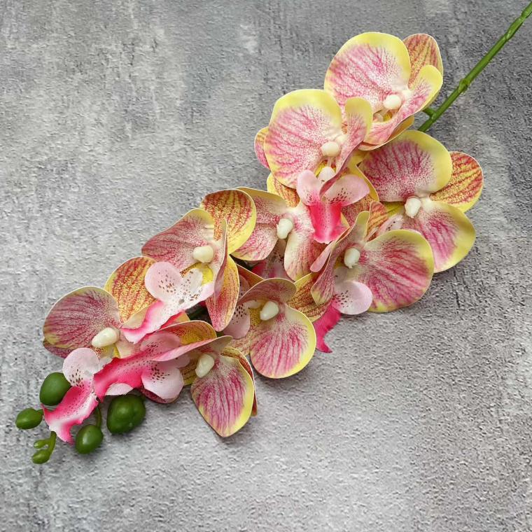 Загружен программно: img_1438_0.jpg