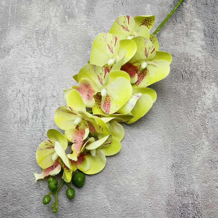 Загружен программно: img_1440.jpg