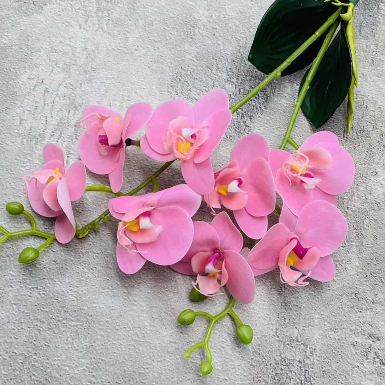 Загружен программно: img_1488_0.jpg