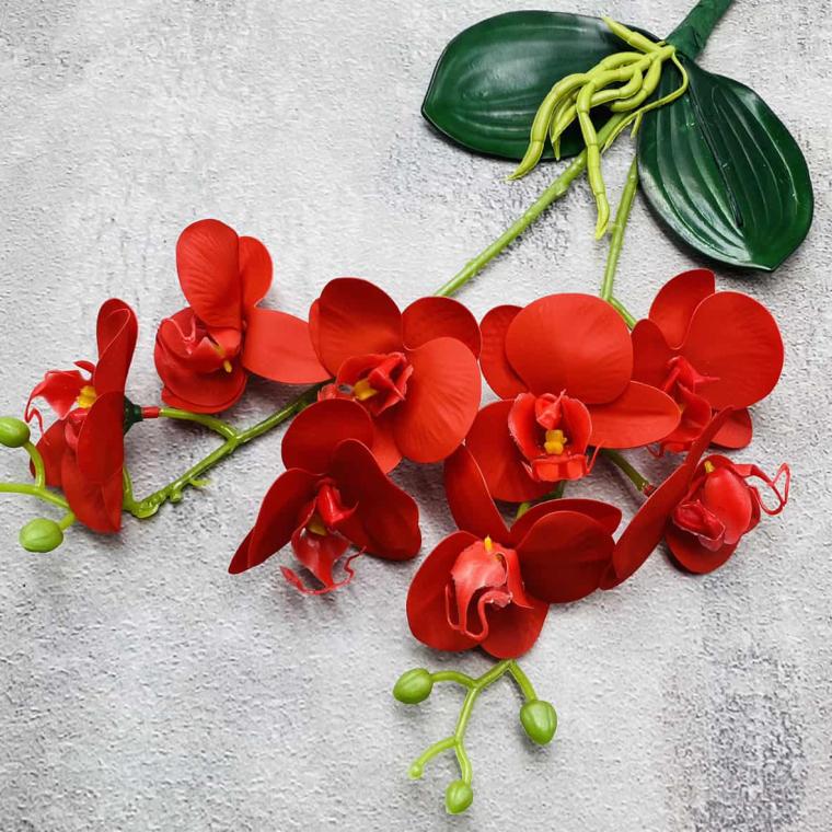 Загружен программно: img_1490.jpg