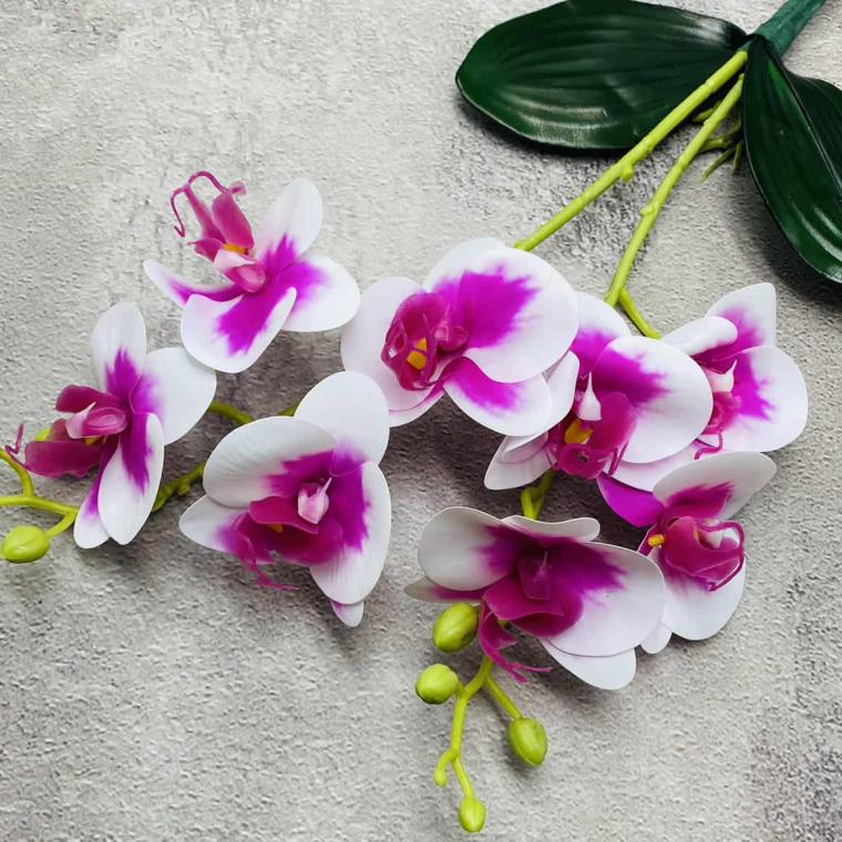 Загружен программно: img_1492.jpg