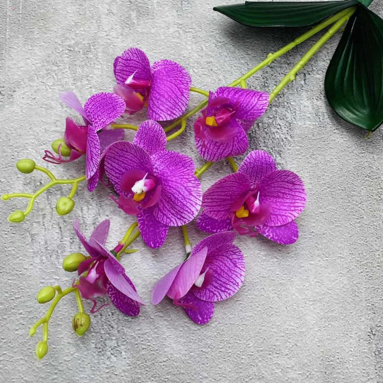 Загружен программно: img_1494_0.jpg