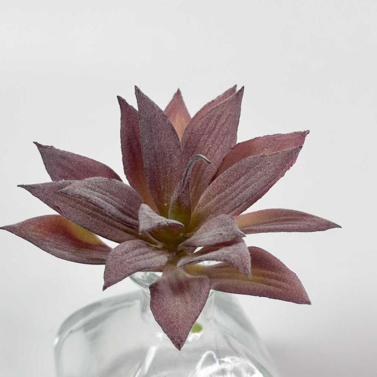 Загружен программно: img_1509.jpg