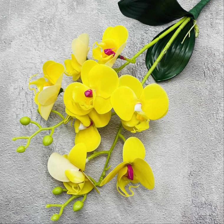 Загружен программно: img_1513.jpg