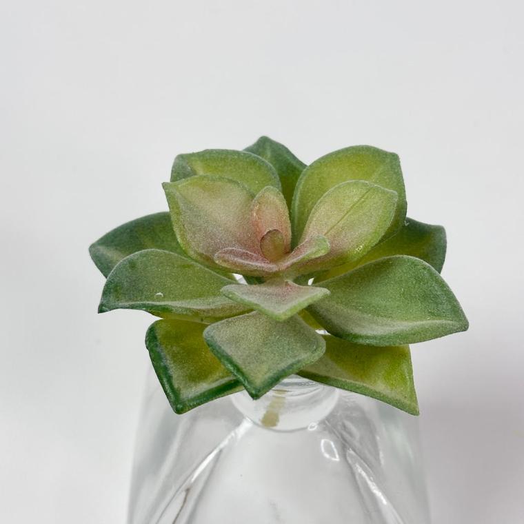 Загружен программно: img_1514_0.jpg